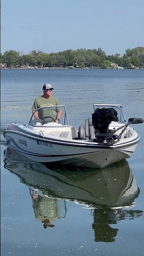 Tuuka the Boat Dog | Life on the Water