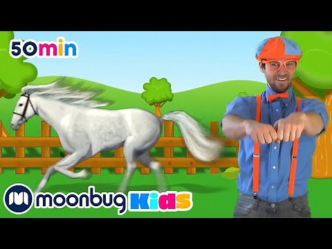 Learn About Horses! | Blippi | Learning Videos For Kids | Education Show For Toddlers