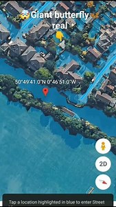 Giant butterfly real🦋🤯 on Google maps and google earth 🌍#short #viral #ACearth
