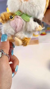 Finding Unicorn - My Little Cat Calico Cat Series #asmr #findingunicorn #cats