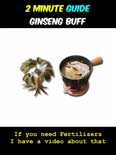 How to Get and Prepare Ginseng Buff in Arknights