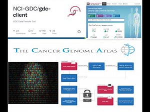 GDC Data Transfer Tool