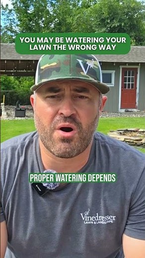 You may be watering your lawn the wrong way