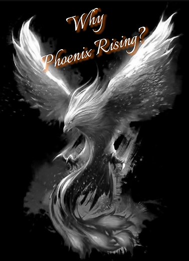 Meaning of the Rising Phoenix: Symbolism, Renewal, and Hope