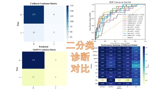 二分类智能诊断全面对比：TabPFN、TAM、LightGBM等十余种算法一键评测！附完整源码