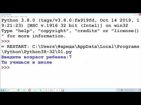 Программирование алгоритмов ветвления. 7 класс. Python