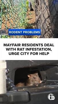 Mayfair residents say rat infestation has returned, urge city for help