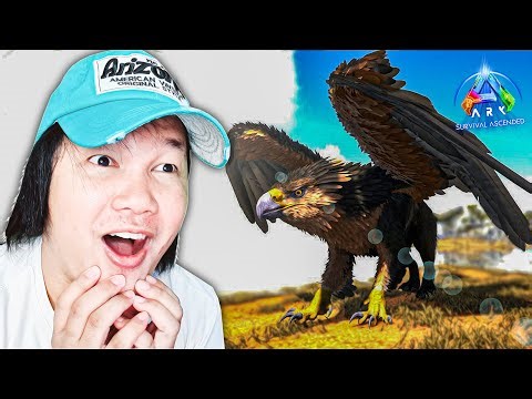 WOW ខ្ញុំបានជួបGriffinនៅលើកោះ😱! ARK Survival Ascended Cambodia Part 26