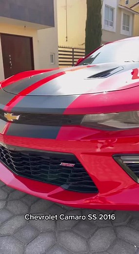 Roller México on TikTok