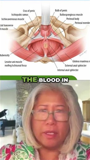 The Muscles That Keep Blood in Your Erection #menshealth #ED