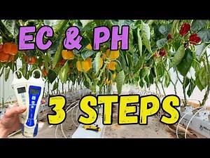 3 Steps to Perfect EC & pH in Hydroponics (Root Zone Secrets)
