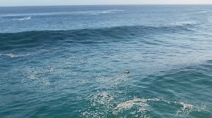 66K views · 273 reactions | @savage - that’s the caption.  @solaglocal Wild action from the @elreydelovers skimboard contest in Cabo. | Surfline | Facebook