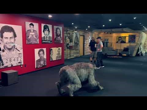 Get An Exclusive Look Inside Joe Rogan's Studio!