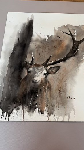 Savez-vous que dans les Abruzzes, les cerfs vivent dans un espace où la nature régule tout ? Loups, ours, montagnes… pendant le brame, les humains comptent peu, et une vraie proximité devient possible. Cette aquarelle est un souvenir : un instant suspendu, plein d’émotion. ✨🦌🎨 🎨 L’original est disponible. 🎁 Calendrier & tirages pour Noël sur mon site. #aquarelle #cerf #ideecadeau | Elise Pire