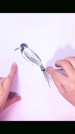 Easy Bird Drawing | 简单几笔画小鸟 #Shorts
