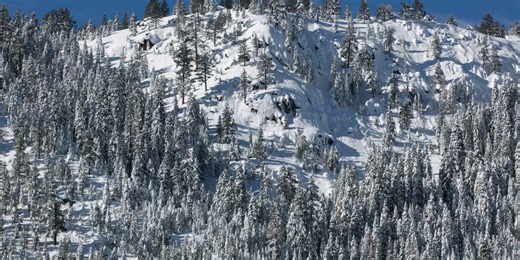 8 skiers found dead, 1 still missing after Sierra Nevada avalanche amid extreme weather conditions