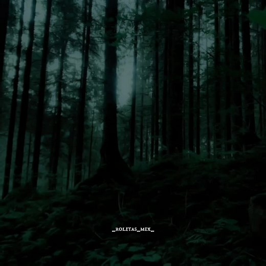 Roslyn - Bon Iver & St. Vincent Lyrics Video