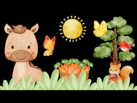 Baby Sensory Video – Newborn Visual Stimulation – Sensory Videos for Babies - Tummy Time #baby