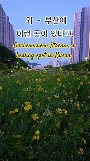 #자연회복#부산가볼만한곳 #건강회복 #busanwellness #이지피지컬 #온천천 #busantrip #bodyalignment