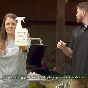 Stop exposing your family and pets to poisonous pesticides 🤢🚫🦟 Switch to Cedarcide🌿 ✅ Family & Pet-Safe Bug Control ✅ Easy to use; Works Fast ✅ No Harsh Chemicals | Cedarcide