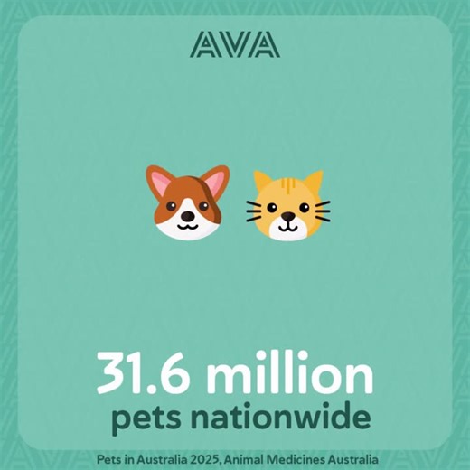 Australia's pet population grows, veterinary support needed