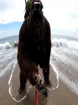 Bigfoot Vlog Primitive fishing on ocean