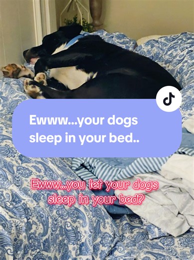 Why My Dogs Sleep in My Bed: Embracing Pet Cuddles