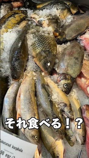 エストニアの魚市場であの魚に遭遇！
