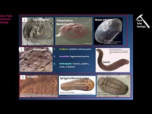 Precambrian Earth and Life History The Proterozoic Eon Part 2 - Part 3