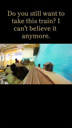 Experience the Diorama Restaurant's Shelter Cat Facility