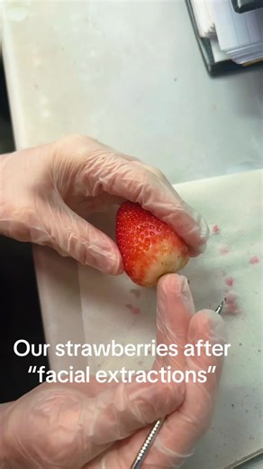 Funny Strawberry Extraction Reactions