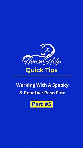 3.7K views · 88 reactions | Working With A Spooky & Reactive Paso Fino! Part 5 Want To Learn More? Visit the Link in my Bio! #horsetraining #horse #trainer #horsetrainer #trainingvideos #horsevideo #traininghorses #horses #horsehelp | Horse Help With Michael Gascon | Facebook