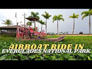Everglades National Park Airboat Ride | Florida Wildlife Adventure in 4K