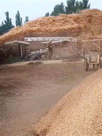 Industrial Wood Crusher for Efficient Wood Processing