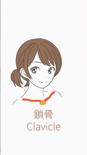 鎖骨を意識して描こう💡｜ Focus on drawing the clavicle art_tips_vol.44 #イラスト #鎖骨の描き方 #artshort #arttips #骨格