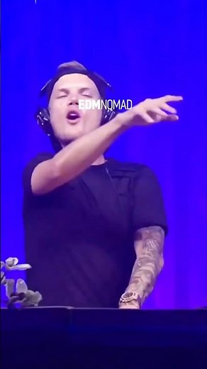 Avicii - Rapture live at Tomorrowland 2015