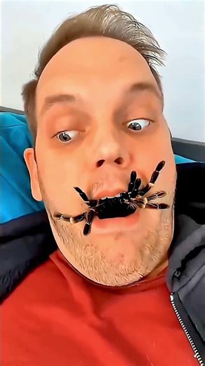 The spider disappeared into his mouth! #comedy