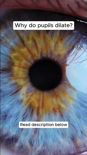 Why do pupils dilate?