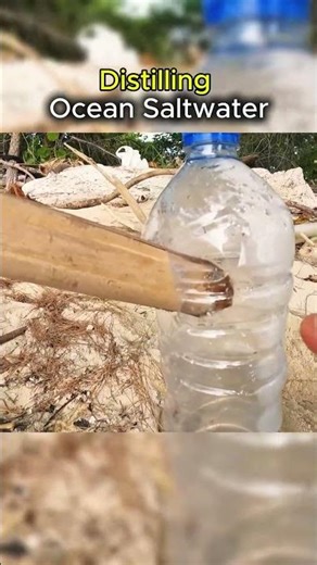 Distilling Ocean Saltwater with Fire🔥