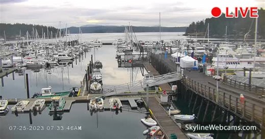 【LIVE】 Kamera na żywo Friday Harbor – Waszyngton | SkylineWebcams