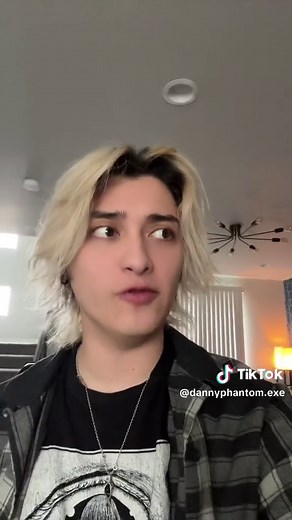 Danny Phantom Fanfiction: Hero and Villain's Unusual Encounter