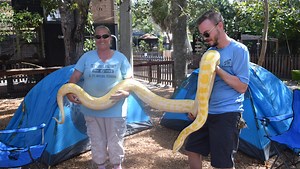 Shell Factory sells. Find out who bought it and for how much