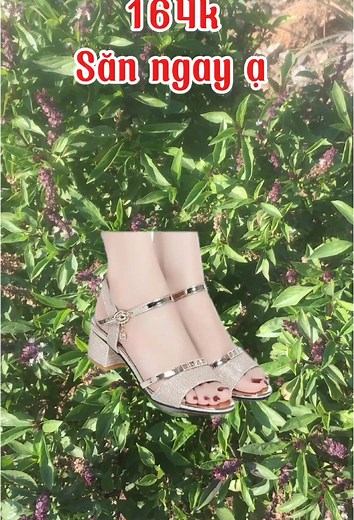 Shop Thời Trang Xinh on TikTok