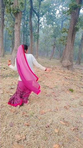 tere pyar ke Kahan jala rajow humk Mela ghumai da Lala Raja