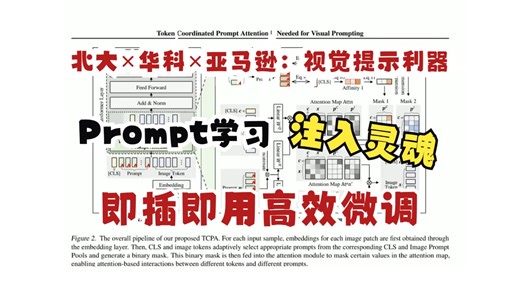 Prompt学习注入灵魂，即插即用高效微调！北大×华科×亚马逊：视觉提示利器