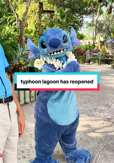 Typhoon Lagoon Reopens: Fun Awaits at Disney Water Parks