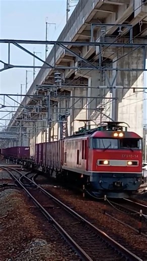 大量コンテナ！ #train #鉄道 #バズってくれ #電車 #railway #irいしかわ鉄道 #ef510 #コンテナ #大量 #高速通過 #コンテナ貨物