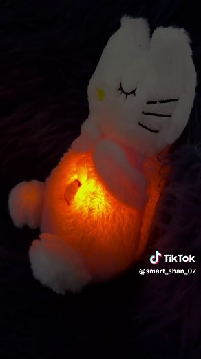Smart_ShaN_07 on TikTok
