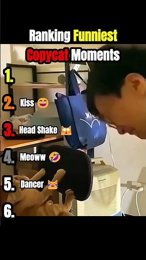 Ranking Funniest Copycat Moments 😹🐾