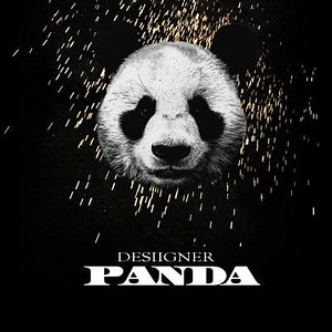 Panda - Single de Desiigner extraits, cover et tracklist